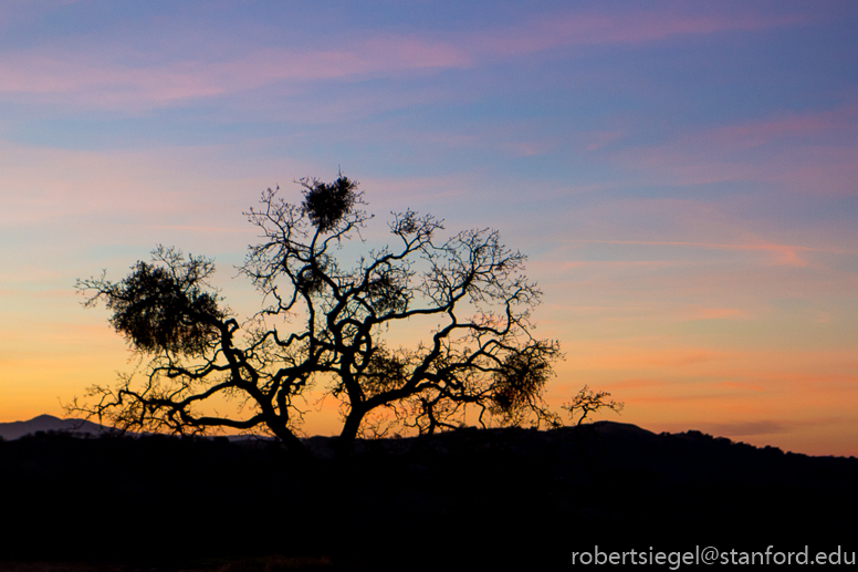 blue oak ranch reserve